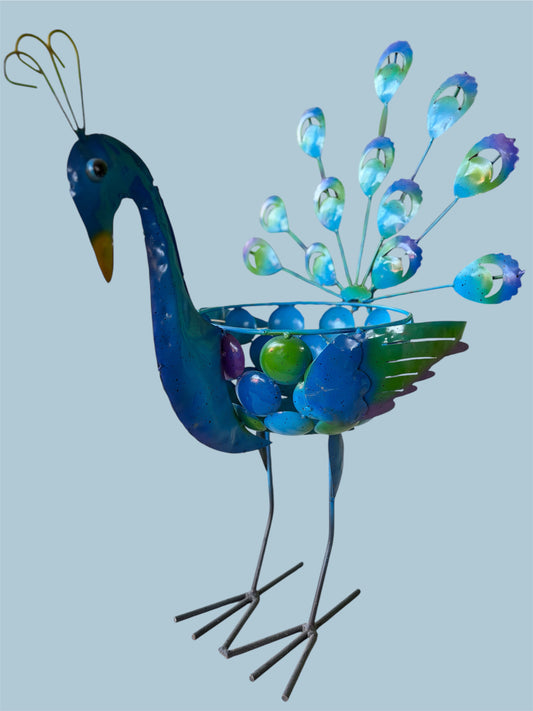 Pavorreal Maceta