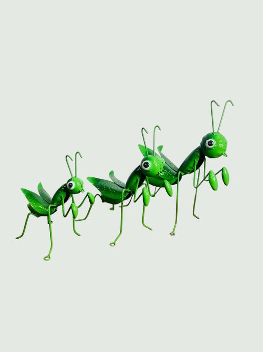 Set de Mantis