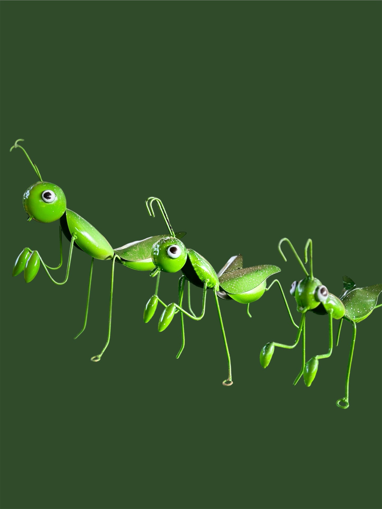 Set de Mantis