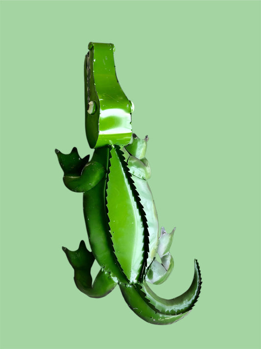 Caiman