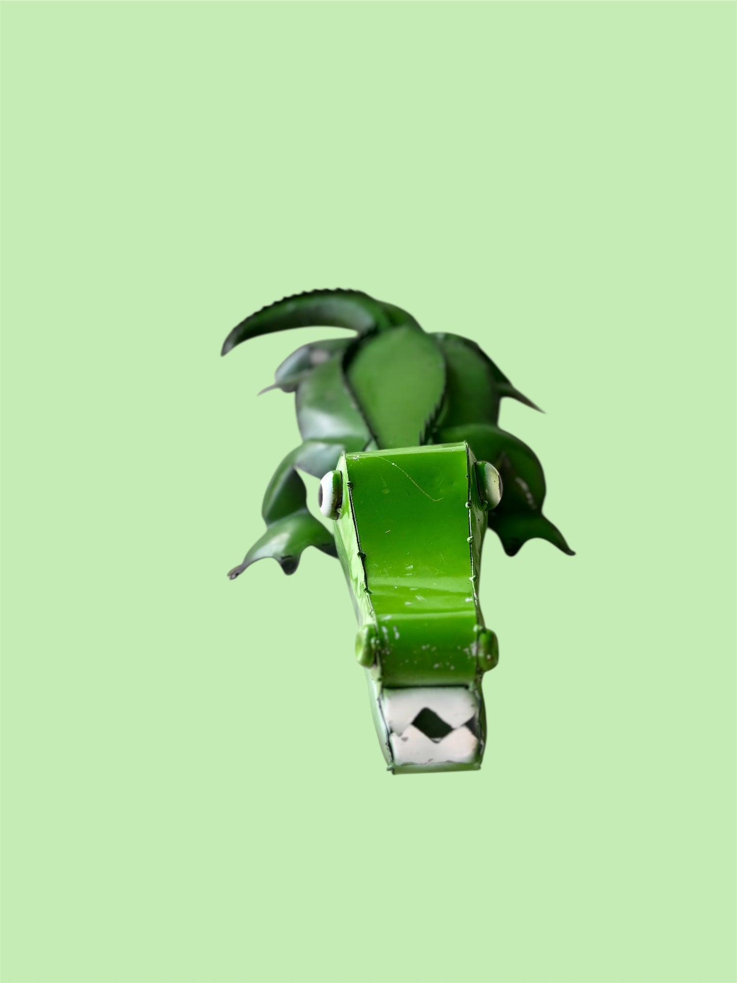 Caiman