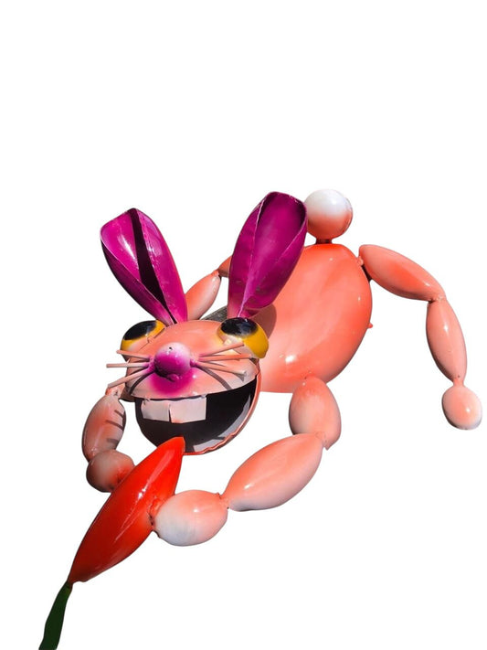 Conejo