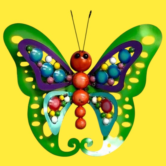 Mariposa Con Concho