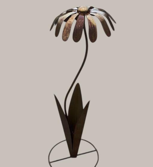 Flor Rustica Margarita